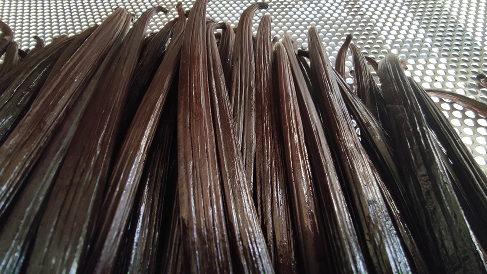 La vanille fraiche